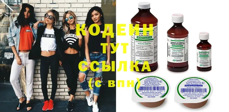 закладка  Камышлов  blacksprut tor  Кодеиновый сироп Lean Purple Drank 