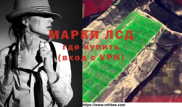 дживик Надым