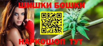 гашик Гатчина