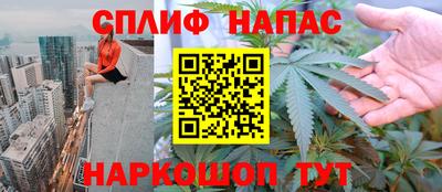 гашик Гатчина