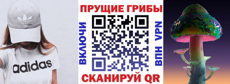 Галлюциногенные грибы мухоморы Камышлов