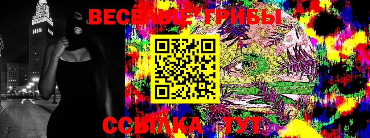Гашик  Мяу-Мяу  Марихуана  Вход с VPN  Cocaine  Гашиш  Камышлов  Как найти наркотики? 