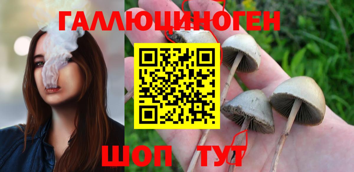 Галлюциногенные грибы Magic Shrooms  Вход с VPN  Камышлов 